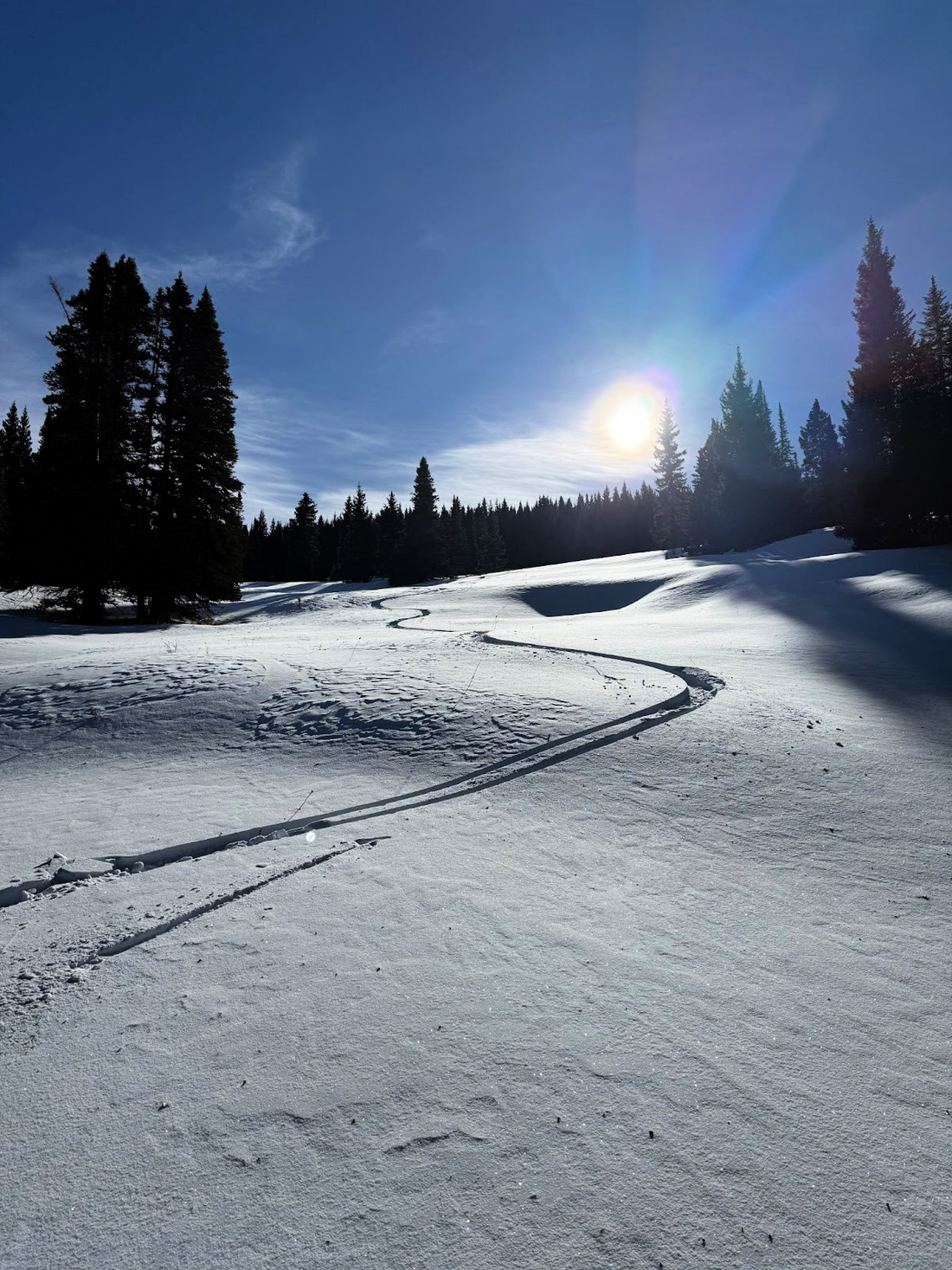 Understanding Avalanche Elevation Bands