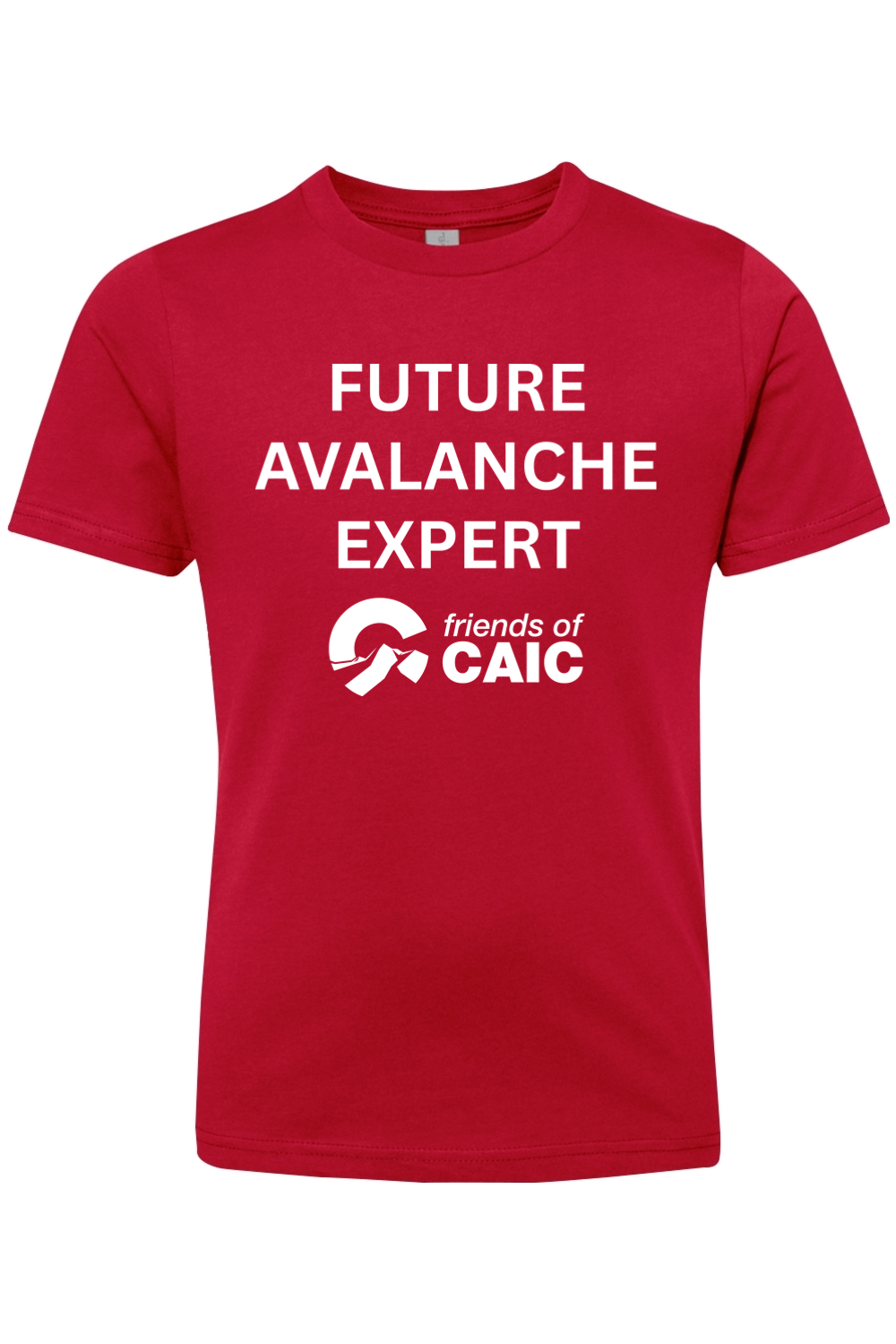 Future Avalanche Expert - Youth