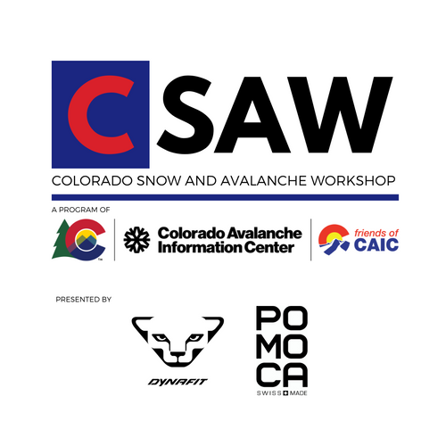 CSAW Online Recording Access